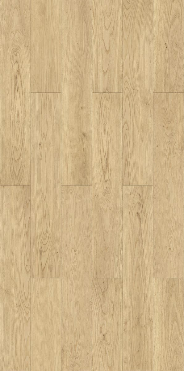 Specialty Collections B-DN-210
