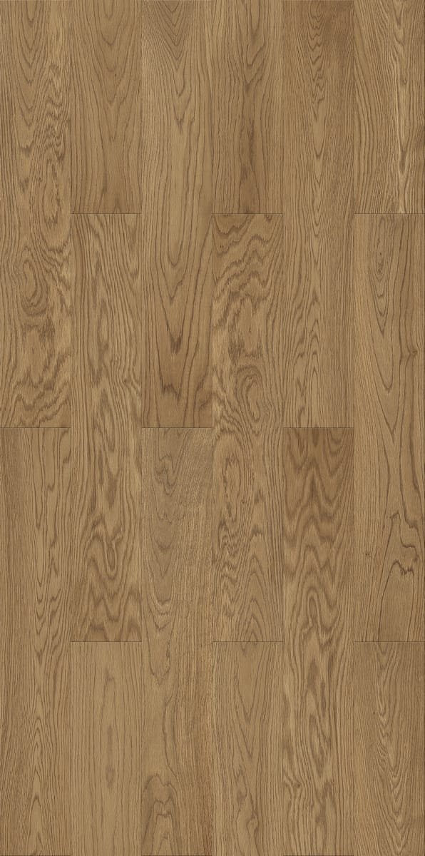 Specialty Collections B-DN-211