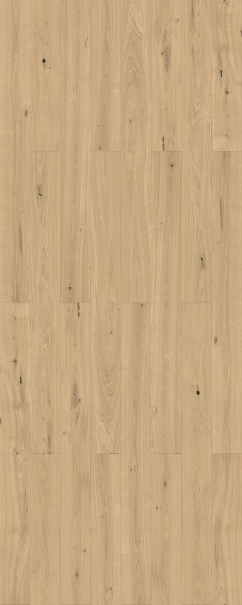 Engineered Multi-Layer Flooring C-SC-095