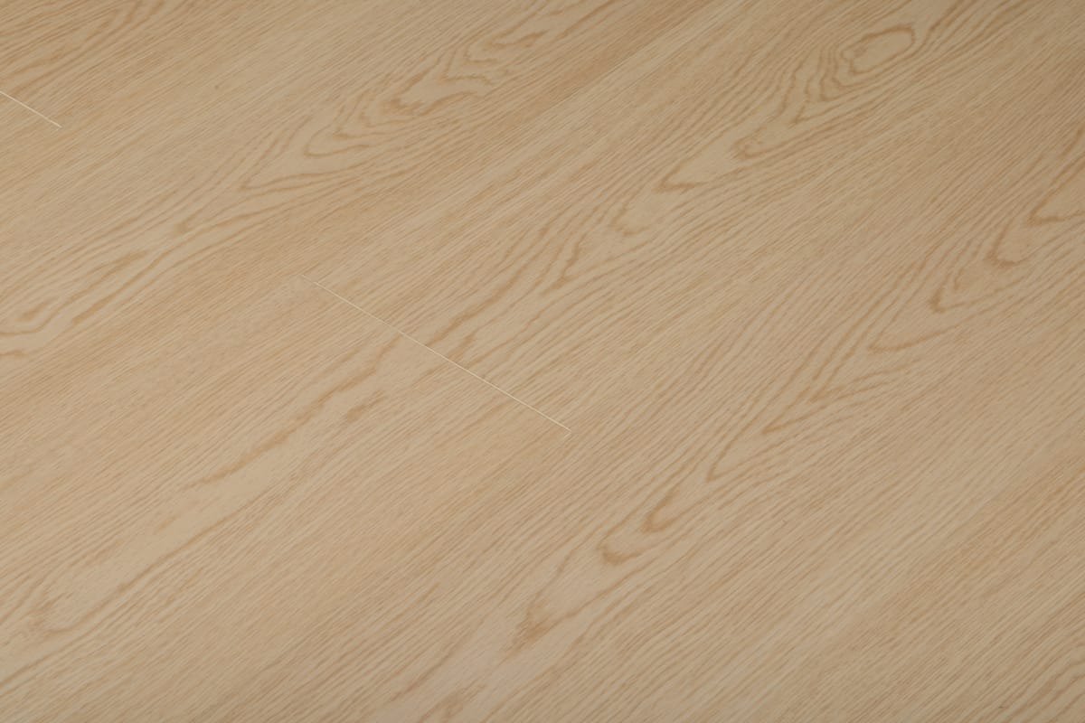 Specialty Collections CM002