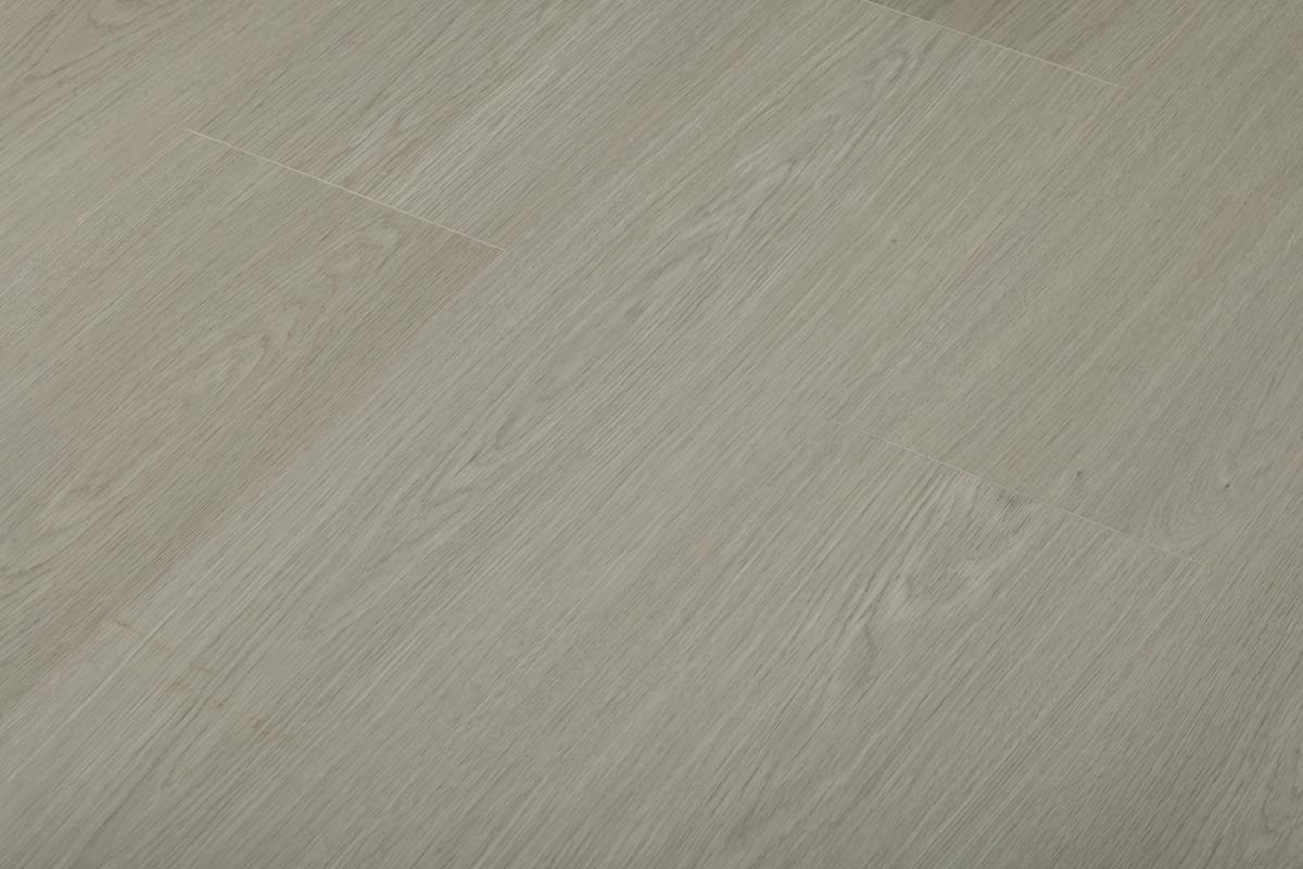 Specialty Collections CM003