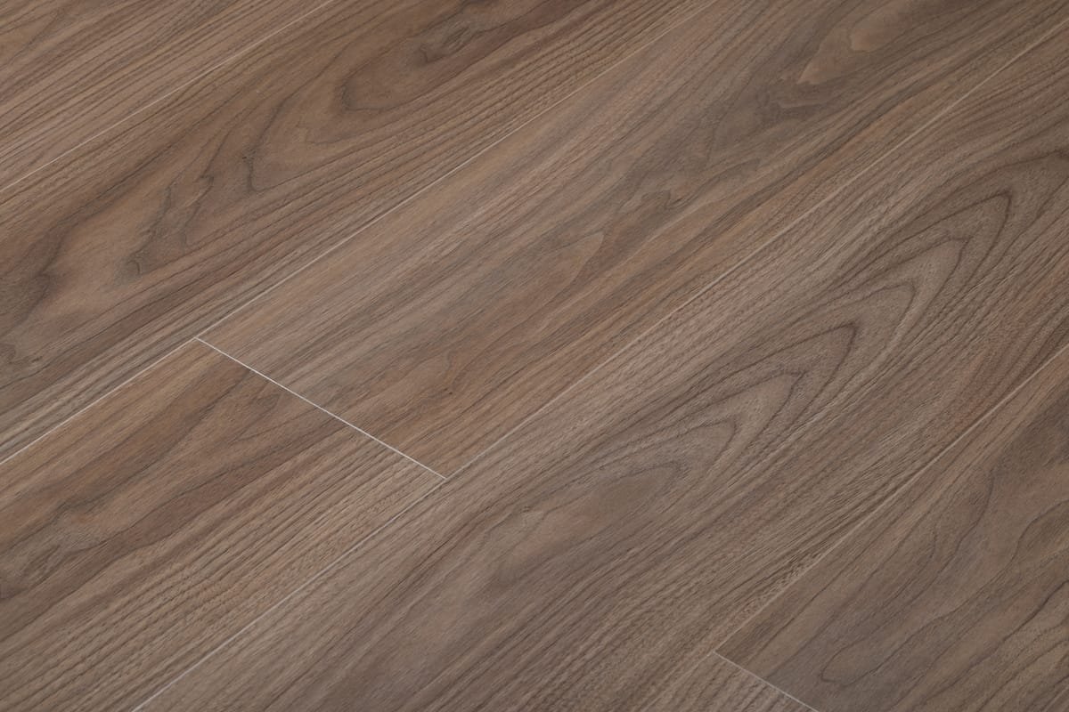 Specialty Collections CM005